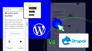 WordPress to Drupal migration guide